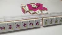 Tuiles de Mahjong de Luxe en Gros, 160 Tuiles de Plateau Ordinaire à Trois Couches, Conception à Quatre Couches, Résistantes à l'Eau, Portables pour le Camping
