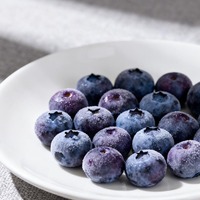 Bleuets sauvages biologiques Meilleurs surgelés IQF non sucrés en vrac Congélation flash Bleuets frais cueillis Compliments Prix de gros