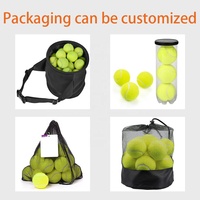 Cadeau de promotion durable de balle de tennis de chien d'impression de logo personnalisé pour l'entraînement de sport