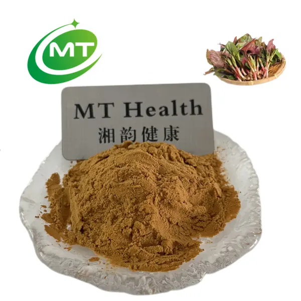 Natural Organic High Quality China Manufacture Houttuynia Extract Houttuynia Cordata Extract