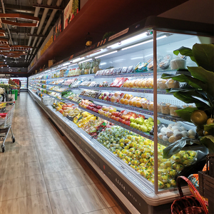 Dọc Mở Rau Tươi Tủ Lạnh Hiển Thị Tủ Đông Cho Trái Cây - Product Image 2