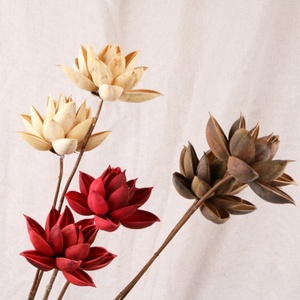 C269 Nhiếp Ảnh Trang Chủ Trang Trí Hoa Schima Superba Hoa Thật Khô Tự Nhiên Trung Quốc Redbud Để Bán - Product Image 2