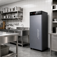Système de filtration d'eau par osmose inverse à 5 étapes 2400 GPD pour hôtel et usage extérieur, auto-nettoyant, contrôlé par application, charbon actif
