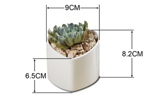 Vaso in Ceramica Bianca a Forma di Cuore Personalizzato per <span class=keywords><strong>Piante</strong></span> Succulente - Product Image 6