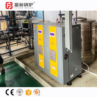 Caldera de Vapor Eléctrica de Circulación Natural Automática Vertical de Baja Presión Future Boiler 9-50kg/h para Lavandería y Tintorería