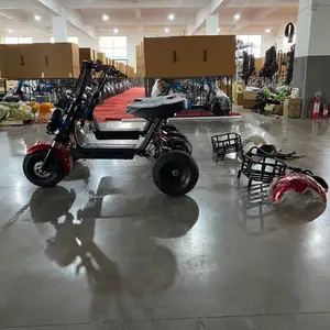 2019 Newest Citycoco ET Scooter E City Scooter Adult Two Wheels Electric E Scooter