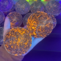 En gros, Gemmes de guérison : Bol de Yooperlite, Plaque ronde à réaction UV, Artisanat en cristal sculpté pour la décoration Feng Shui