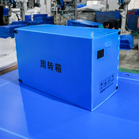 Boîtes de palettes en plastique ondulé en polypropylène recyclables légères et personnalisées pour l'emballage promotionnel des produits alimentaires, pliables