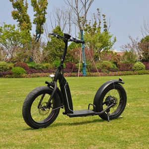 <span class=keywords><strong>Trottinette</strong></span> Électrique Grande Roue <span class=keywords><strong>Adulte</strong></span> 20 Pouces, E-Scooter Tout-Terrain Fabriquée en Chine - Product Image 3