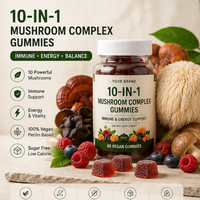 Gummies Complexe de Champignons 10-en-1 Marque Blanche, Supplément Végétalien OEM à Base de Mélange de Champignons pour le Bien-être Immunitaire et la Résilience Systémique