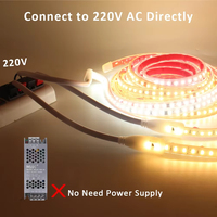 AC 220V Led Bande Lumière Extérieure Étanche Haute Qualité SMD 2835 120LED IP65 Blanc Chaud Blanc Lumière 3000K 4000K 6500K