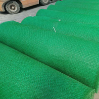 Matelas composite en plastique vert bon marché Érosion de vidange de végétation Géonet 3D pour le contrôle Slop Protéger le paysage