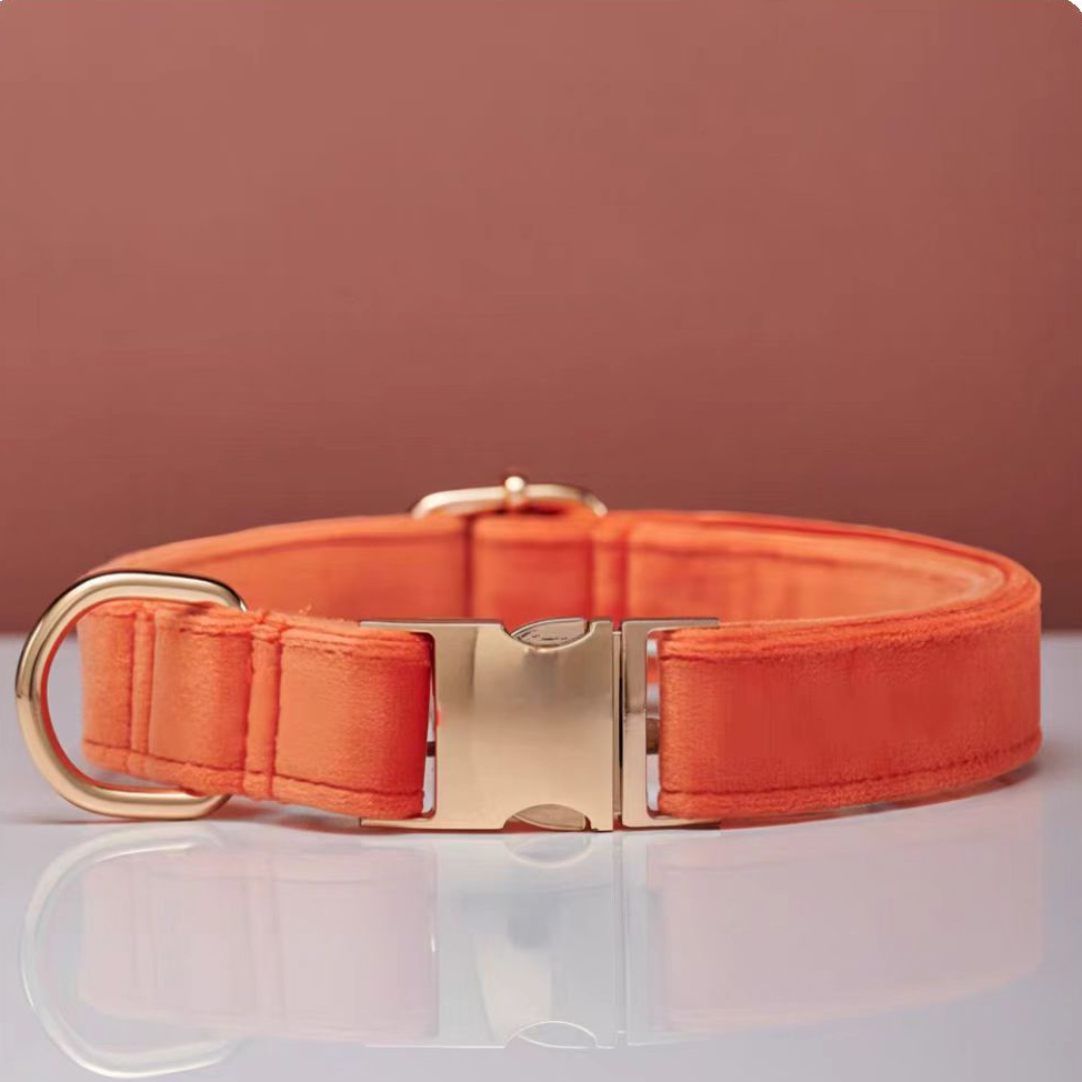[Collier] orange corail (sans lettrage)
