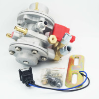Réducteur de régulateur de pression Compact Cng lpg de haute qualité pour pièces de moteur de générateur de Kit de Conversion de voiture automatique de véhicule à gaz