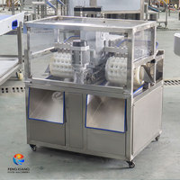 Fengxiang Kersenverwerkingsmachine 200-300kg/uur Commerciële Ontpit- en Wasapparatuurset voor de diepvriesvruchtensupplychain