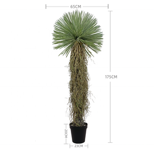 Oh Arts, superventas, 175cm de altura, árbol bonsái Artificial Oh Arts, plantas tropicales ornamentales de lujo modernas, <span class=keywords><strong>agave</strong></span> Artificial - Product Image 2