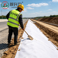 Géotextile à filament continu WSL 320g pour le drainage et la filtration des sous-drainages ferroviaires et le traitement des sols molles des autoroutes