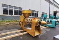 Presse à huile de soja tout-en-un YZYX140WK à prix d'usine, contrôle de température stable, nouveau petit moulin à huile pour entrepreneurs
