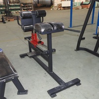 Sunshine SW8008 Équipement de fitness commercial multifonctionnel pour salle de sport, Banc de levée de fessiers et de fessiers-hamstrings, Machine de développement des hanches, Chaise romaine