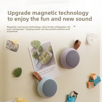 Microphone dynamique portable sans fil Y6, mini, magnétique, étanche pour extérieur et salle de bain, avec subwoofer et suppression du bruit cardioïde