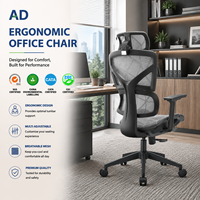 Chaise de bureau ergonomique moderne avec options de couleur, chaise ergonomique à fonctionnalités complètes, dossier en maille respirante, réglable