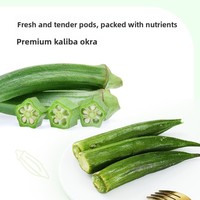 Gefrituurde Okra Chips 35g Verpakte Fruit- en Groentesnacks Klaar om te eten Oorsprong Fujian 300 Dagen Houdbaarheid Op Kamertemperatuur