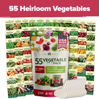 Vente en gros de bonsaï arbre kit de démarrage de plantes vivantes ferme pour la maison jardinage de légumes plantes d'intérieur cadeaux de jardinage d'héritage