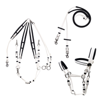 Ensemble complet d'équipement d'endurance équestre sur mesure en cuir, incluant des haltères en PVC et du nylon, et une bride de style équipement d'équitation. Livraison directe disponible.