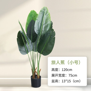 <span class=keywords><strong>ต้น</strong></span>ไม้ปลอมขนาดใหญ่ในกระถาง <span class=keywords><strong>ต้น</strong></span>ไม้จำลองสูง ตกแต่งบ้าน ห้องนั่งเล่น สำนักงาน ล็อบบี้โรงแรม ขายส่ง - Product Image 4