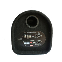 10 pouces voiture Audio actif Subwoofer haut-parleur 10 "12V voiture amplificateur carte plaque Tunnel Type