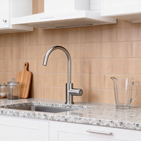 Vente en gros Offre Spéciale robinet d'eau gazeuse pour machine à soda robinet d'eau pétillante refroidisseur acier inoxydable 3 en 1 robinet de cuisine