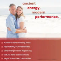 Capsules de Ginseng Rouge Coréen Panax à Marque Blanche, Force Maximale, Haute Teneur en Ginsénosides, Extrait de Racine de Ginseng en Poudre, Complément Alimentaire
