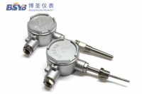 PT100 Armored Resistance Thermometer -50℃-300℃ for Industrial Furnace Fast Response Long Life