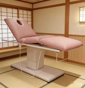 Electric Beauty Bed with Lifting Folding Tattoo Embroidery Micro Plastic Therapy Bed Beauty Salon Specific Massage Bed - Product Image 4
