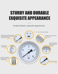 Tùy chỉnh 100mm thủy lực zg1/2 chân không đồng hồ đo áp suất dụng cụ đo áp suất thép không gỉ đo - Product Image 6