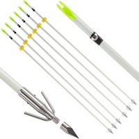 Arc à poulies professionnel de haute qualité HT Wholesale pour la pêche à l'arc, flèches de pêche à l'arc, flèches de tir OD 8mm en fibre de verre avec pointe en acier