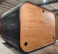 Sauna extérieur compact moderne, alimenté électriquement, design en forme de cube, pour jardin, loisirs, usage résidentiel à long terme, bien-être