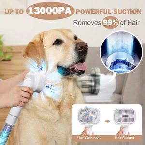 Kit Profesional de Aseo para Mascotas 5 en 1, Cortadora de Pelo para <span class=keywords><strong>Perros</strong></span>, 99% de Succión, Alta Potencia, Bajo Ruido, ABS, Voltaje Universal - Product Image 6