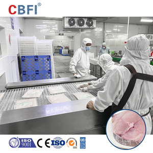 Sistema de Refrigeración y Almacenamiento CBFI, Cámaras Frigoríficas de Alta <span class=keywords><strong>Calidad</strong></span>, Congelador Industrial para Mariscos - Product Image 2