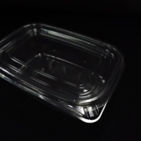 Boîte de rangement des animaux de compagnie, récipient d'emballage pour fruits, jetables, boîte d'emballage des aliments transparente, boîte à emporter