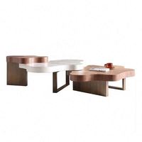 Table basse créative en bois de style nordique, luxe léger, forme spéciale, pour salon, couleur crème nuage