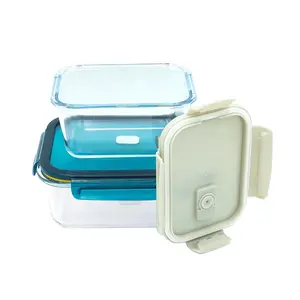 Wholesale Large Glass Food Storage Containers Clear Glass Bento Lunch Boxes Silicone Container With Plastic Lid For Picnic