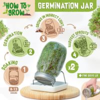Ensemble de 2 bols de pot de germination de style classique pour kit de culture de truies de jardin Microgreens pour la plantation ou la suspension