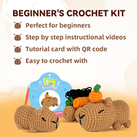 Kit de Bricolage en Crochet pour Capybara Animal Mignon de Dessin Animé, Ornement de Bureau Fait Main, Décoration, Cadeau, Vente en Gros