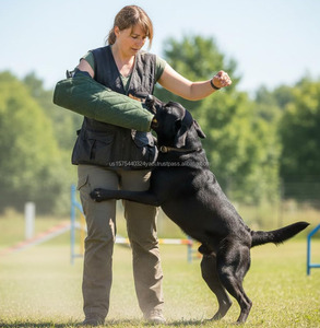 Dog Bite Sleeve Training Protection Arm Dog Training Bite Sleeve Large Dogs Puppy Playing <b>Biting</b> Tugging Toy Interactive Play - Product Image 5