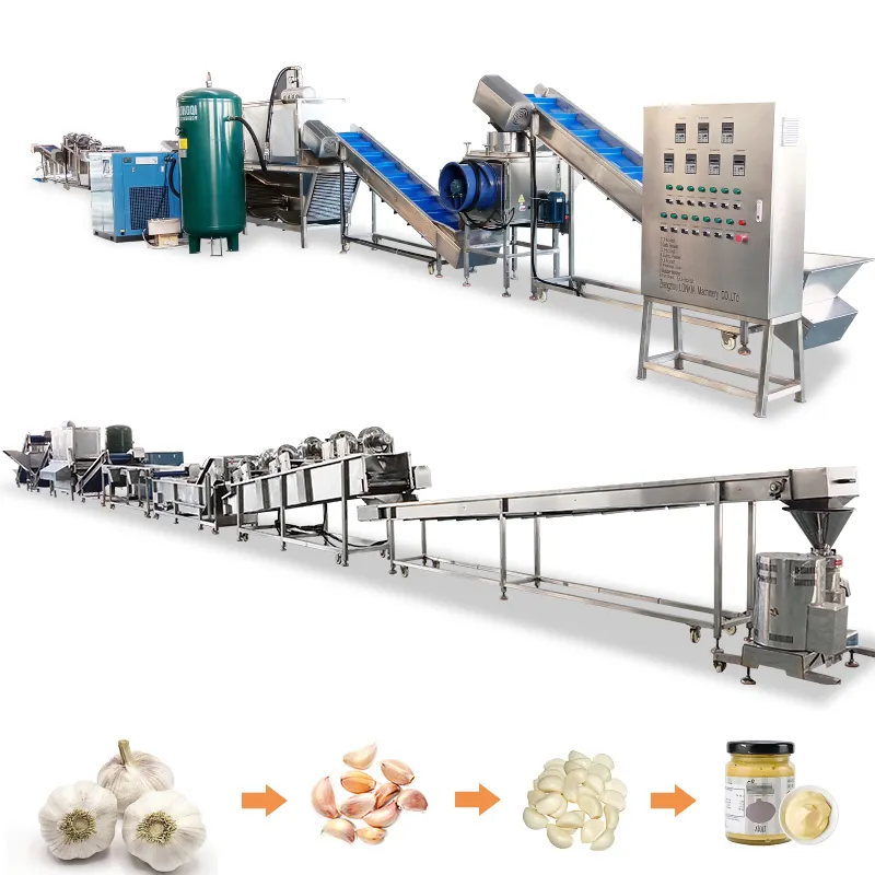 Línea de producción de ajo de conjunto completo automático industrial incluye máquina de procesamiento de clasificación de pelado de rotura de limpieza de ajo