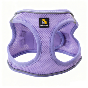 Diskon besar Set tali dada anjing kecil OEM taktis hewan peliharaan Teddy Lead dengan tombol penutup pola padat poliester tali dada anjing - Product Image 6