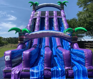 巨大な屋外大人のエンターテインメントパーティージャンプ城ウォータースライド弾むゲームインフレータブルトロピカルウォータースライド - Product Image 2