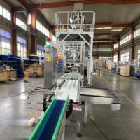 Machine automatique de remplissage et de scellage sous vide de type brique pour applications alimentaires et chimiques avec moteur de pompe PLC