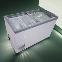 Congélateur coffre commercial 350L, température unique -25°C, pour stockage de crème glacée et présentoir de bâtonnets glacés pour supermarché
